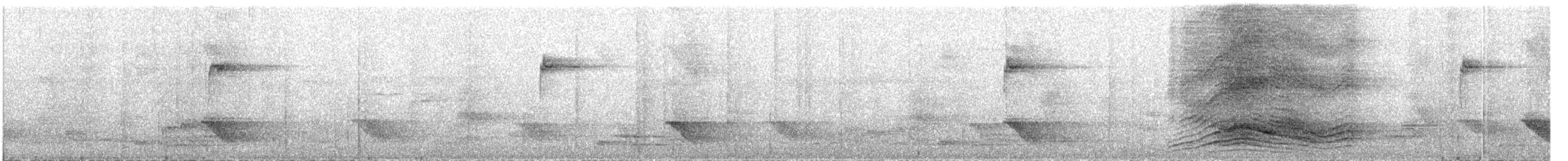Double-eyed Fig-Parrot (Double-eyed) - ML609053311