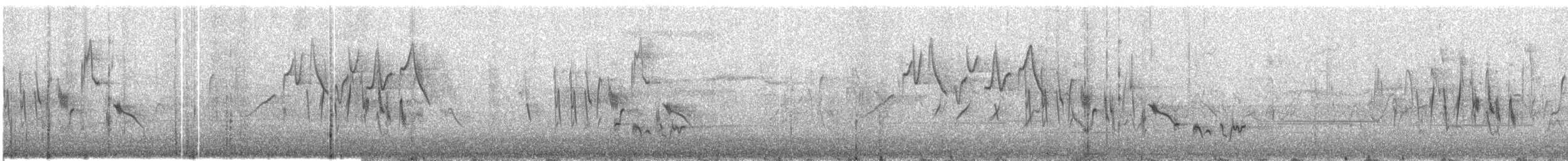 Bandammer - ML609053389