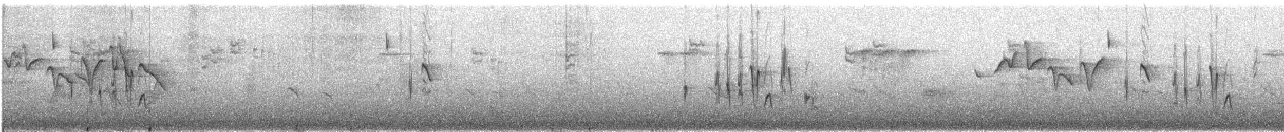 Bandammer - ML609053390