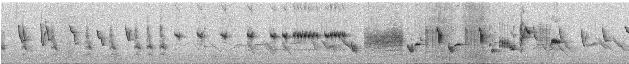 blåstrupe (svecica gr.) - ML609053396