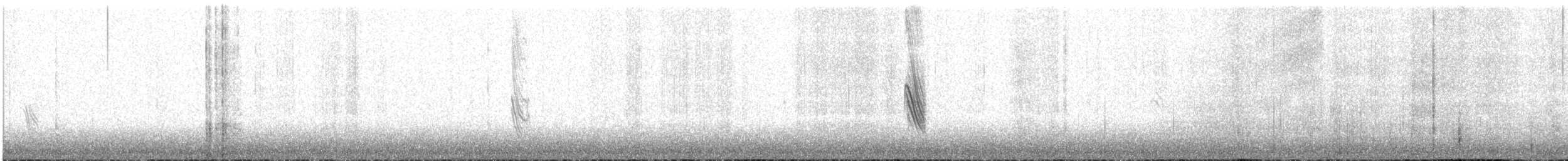 Чернокрылый снежный воробей - ML609053460