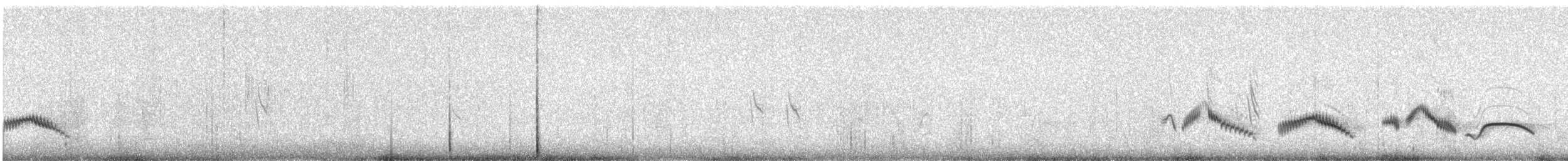 Alouette du Namaland (groupe subcoronata) - ML609054044