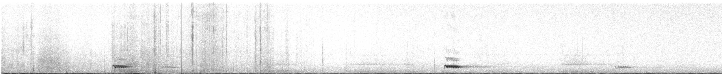 Африканская сплюшка (senegalensis) - ML609054054