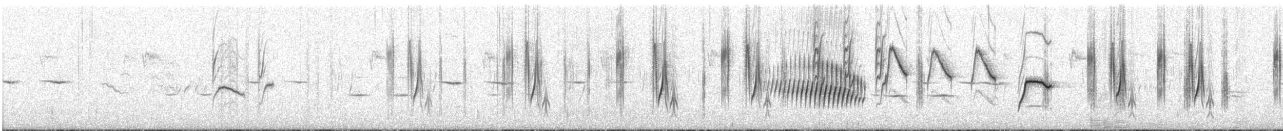 Cisticole plaintive (groupe lais) - ML609054145