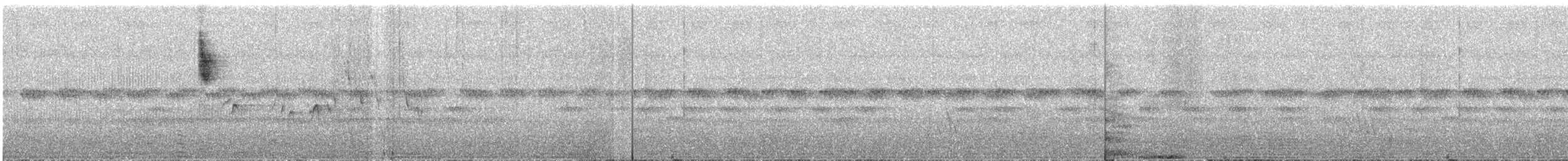 Black-backed Puffback - ML609054578