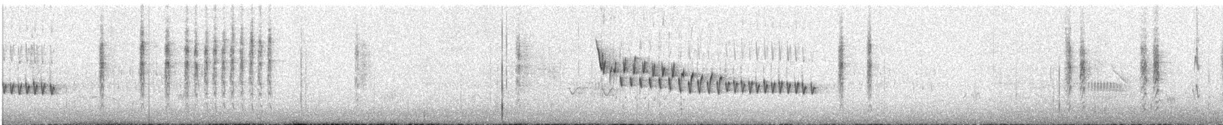 Dusky Sunbird - ML609054617
