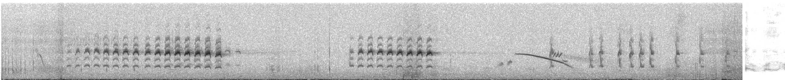 Langschwanzeremomela - ML609054633