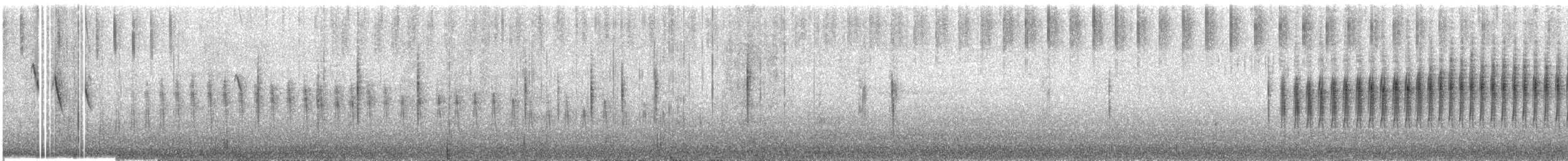 kappirisk - ML609054720