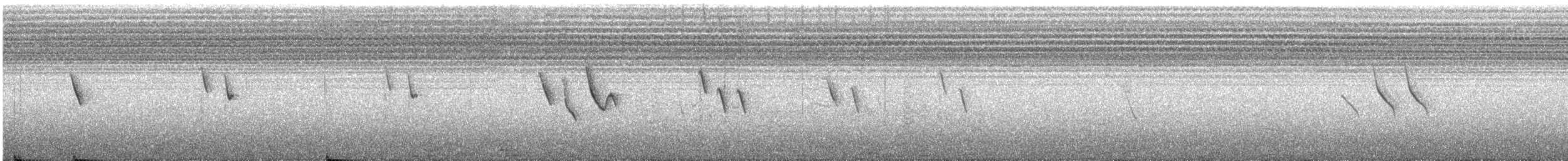 kappirisk - ML609054722