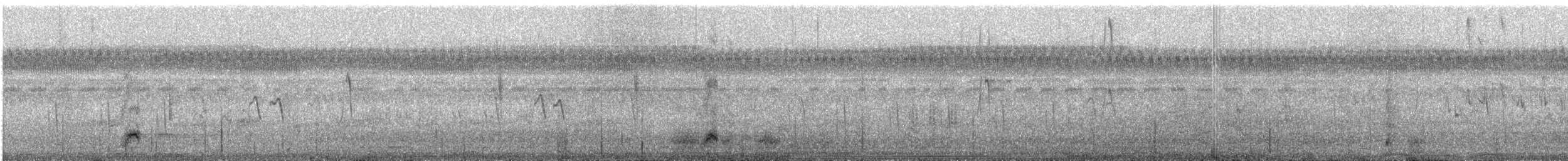 夜鷺(nycticorax) - ML609054831
