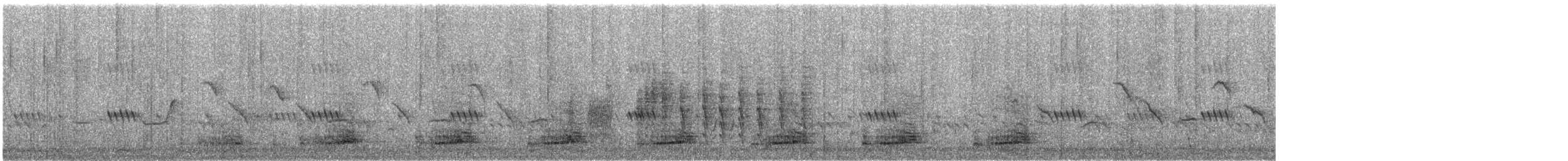 svartbeinfrankolin - ML609054886