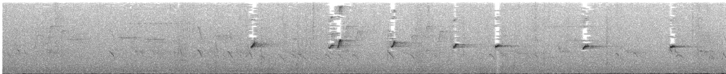 Supertramp Fantail - ML609054934