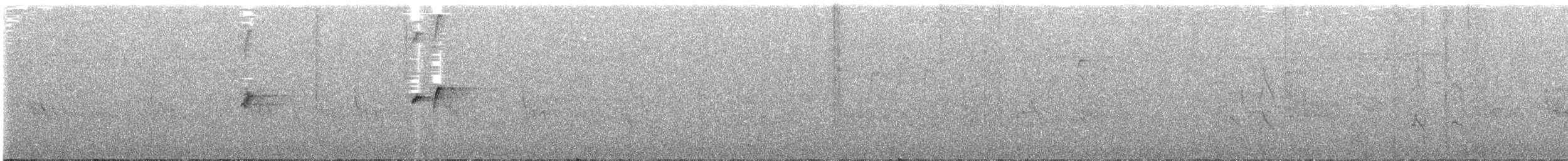 Supertramp Fantail - ML609054935