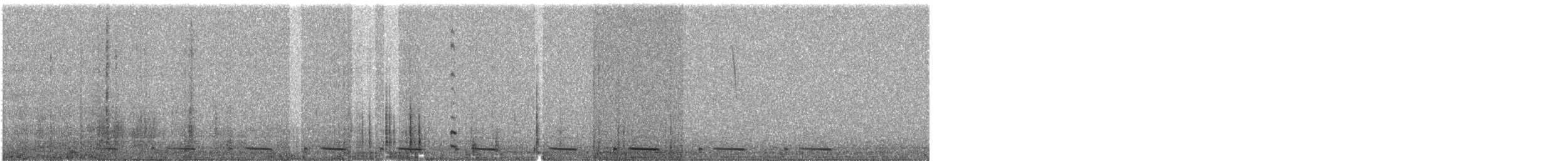 Graubrust-Höhenläufer - ML609054967