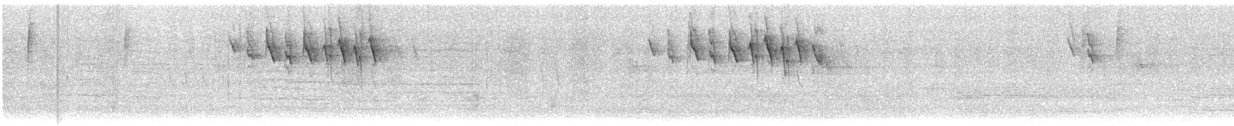 Серый конусоклюв (cinereum/littorale) - ML609054988