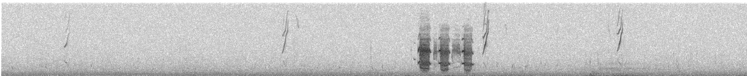 Белокрылая диука - ML609055028
