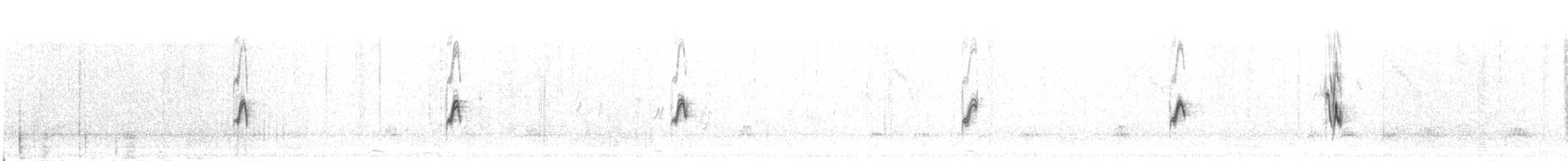 Gorrión del Saxaul - ML609055140