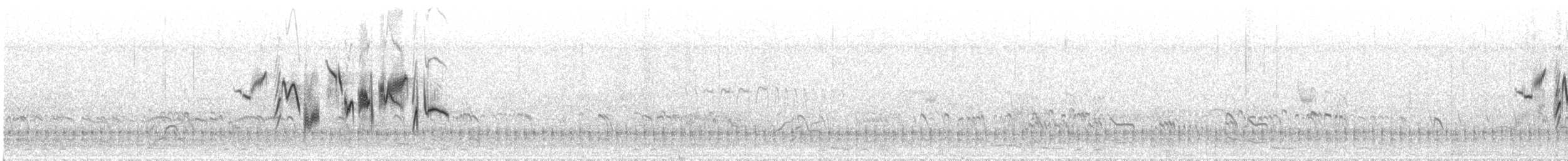 White-tailed Stonechat - ML609055148