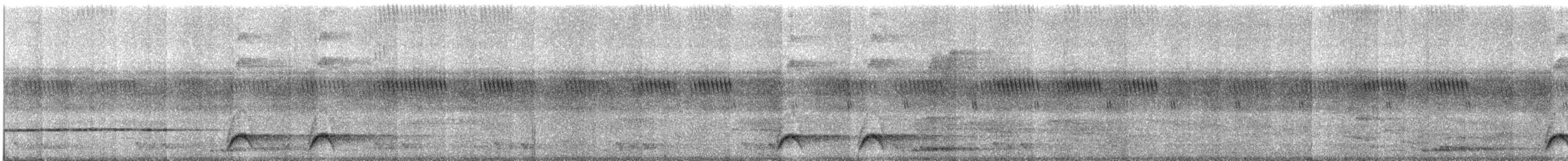 Western Hooded Pitta (Chestnut-crowned) - ML609055242