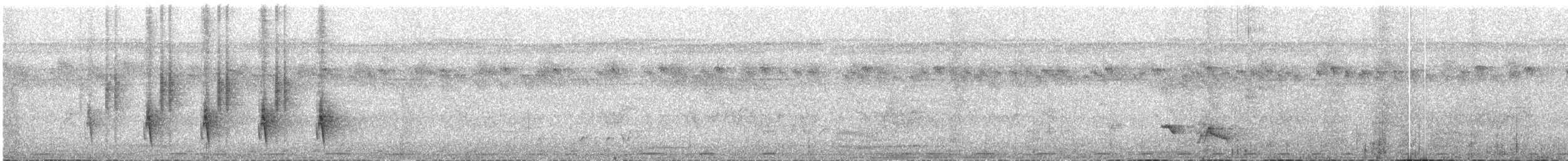 Camaroptère à tête grise (groupe brachyura) - ML609055366