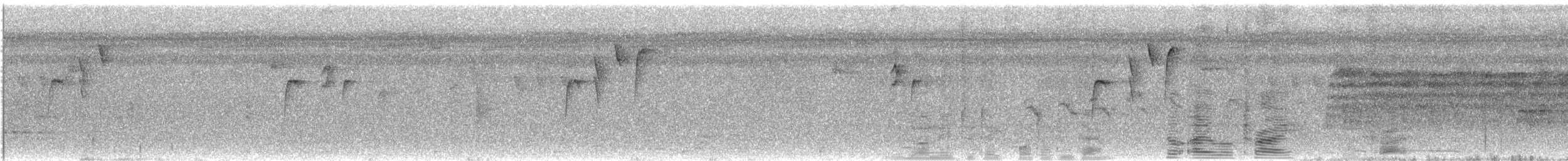 Пембская нектарница - ML609055418