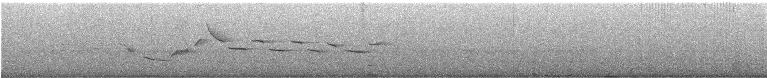 White-bellied Sholakili - ML609055859