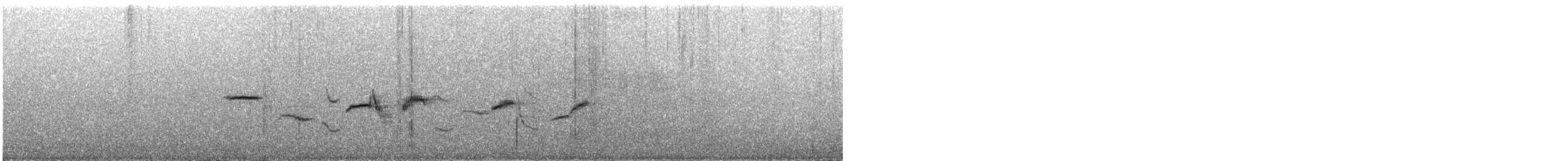 White-bellied Sholakili - ML609055874