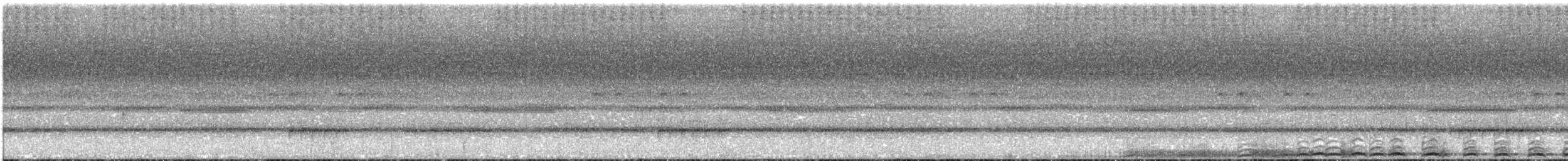 Сова-голконіг каміґуїнська - ML609055876
