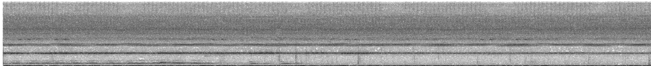 Сова-голконіг каміґуїнська - ML609055884