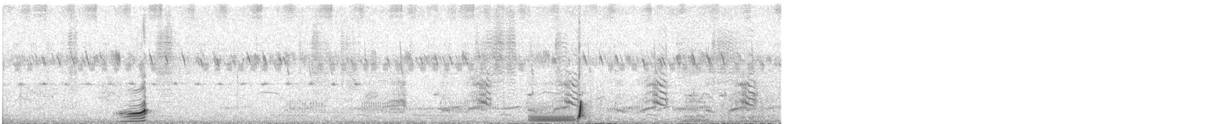 Black-bellied Bustard - ML609056070