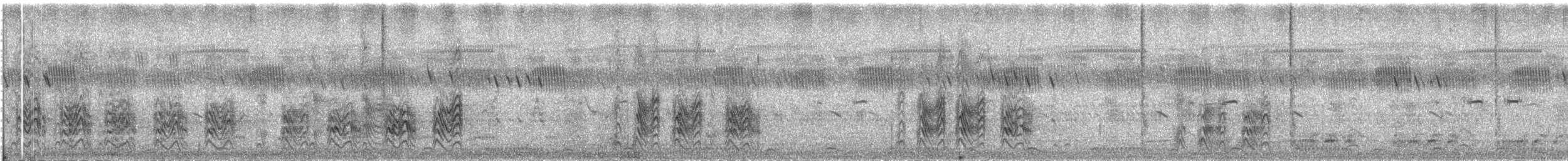 Northern Pied-Babbler - ML609056073