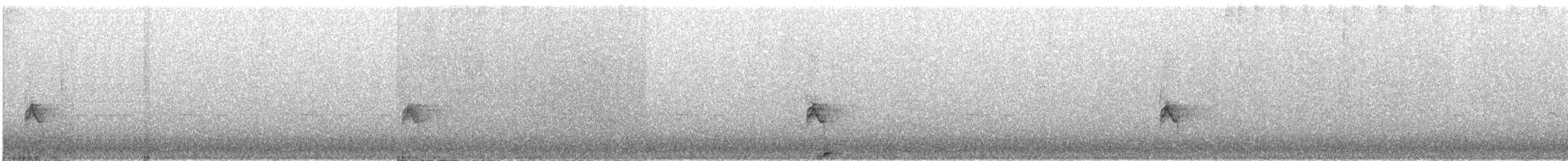 Sulawesi Myzomela - ML609056093