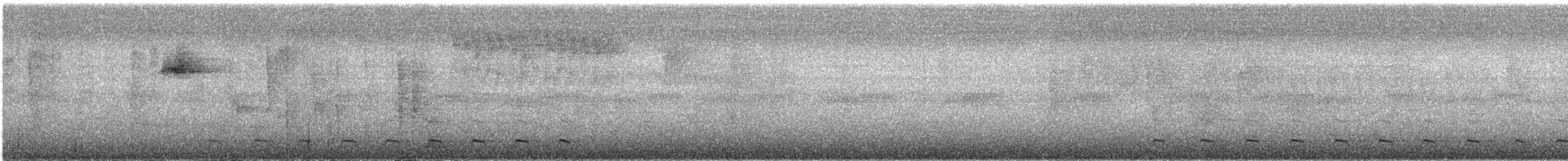 ガーターキヌバネドリ - ML609056159