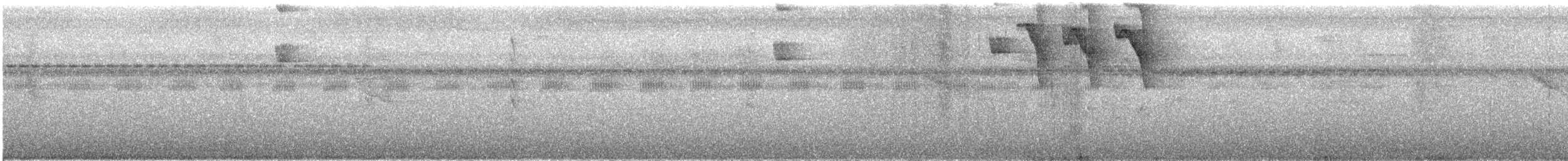 Tangara à tête grise (groupe spodocephalus) - ML609056240