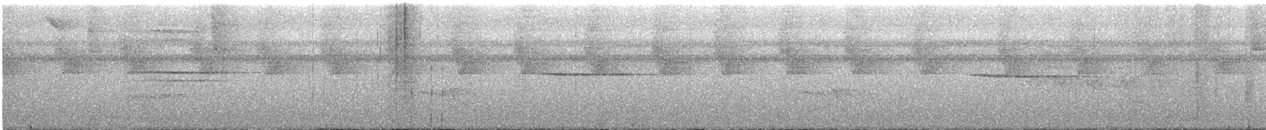 Troglodyte siffleur (luscinia) - ML609056282