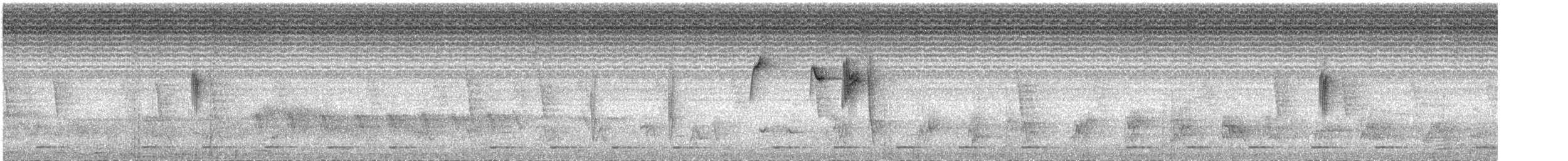 hvitstjertelminia - ML609056310