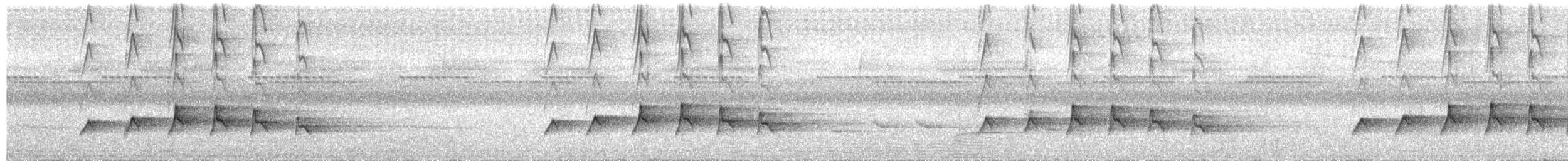 Coucou des Philippines - ML609056701