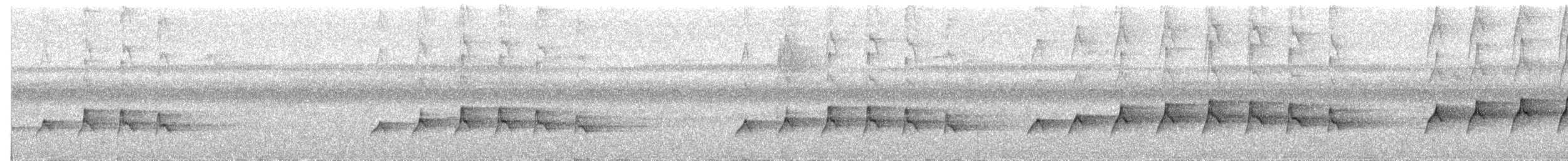 Coucou des Philippines - ML609056705