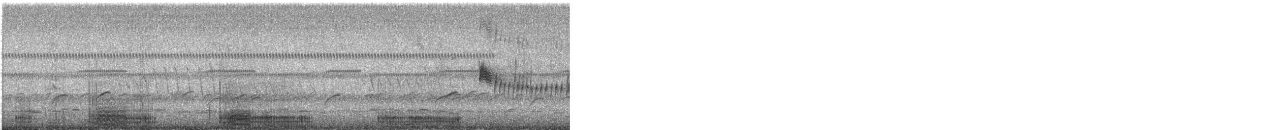 Большая белая цапля (egretta) - ML609056727