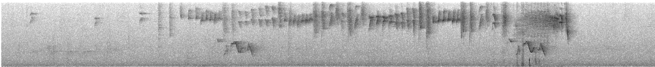 banansmett (portoricensis gr.) - ML609056821