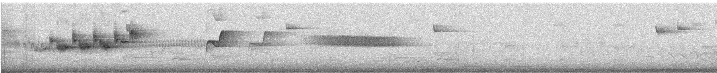 Black-throated Gray Warbler - ML609057015