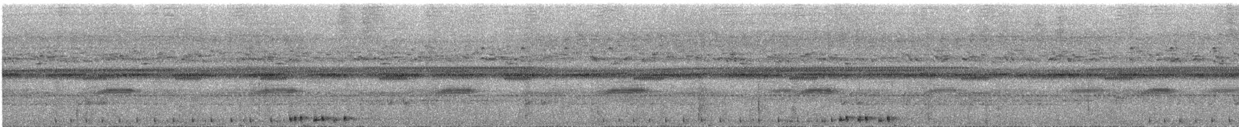 Nínox de las Sulu - ML609057031
