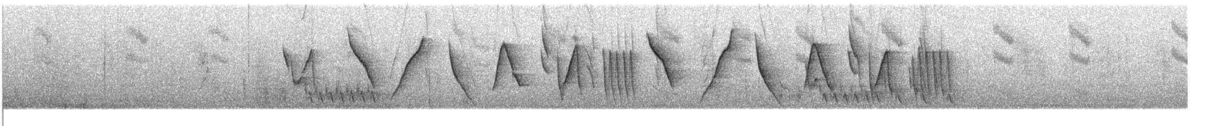 コバシマユシトド（pectoralis） - ML609057068