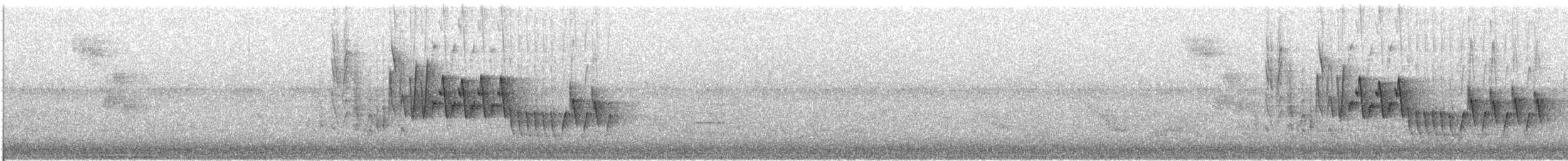 Northern House Wren - ML609057106