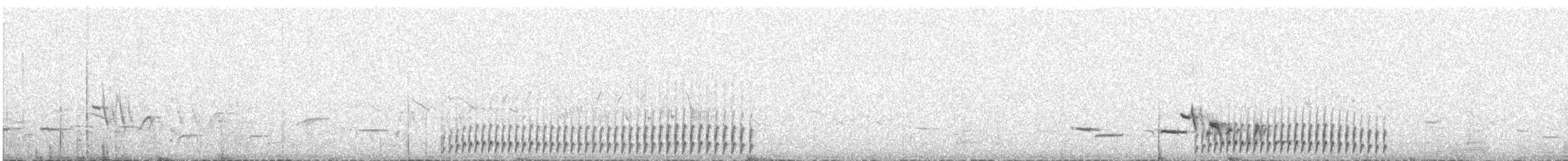 bartramie dlouhoocasá - ML609057235