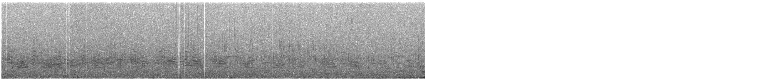 Пелікан рогодзьобий - ML609057246