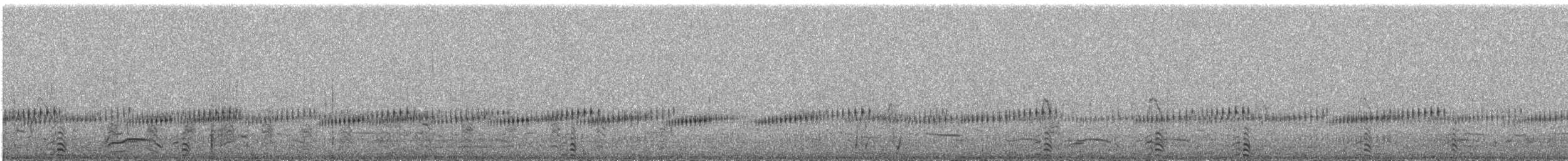 Wilsonwassertreter - ML609057254