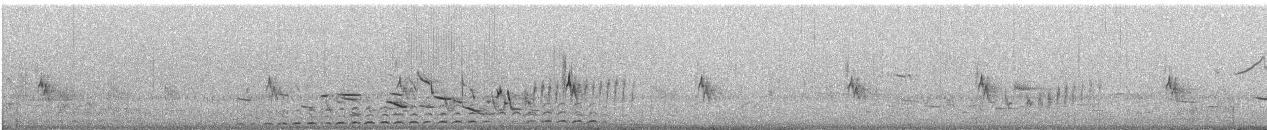 Wilson's Snipe - ML609057300