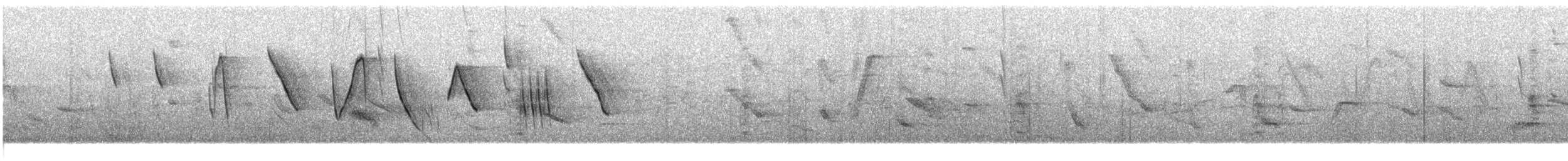 コバシマユシトド（pectoralis） - ML609057413