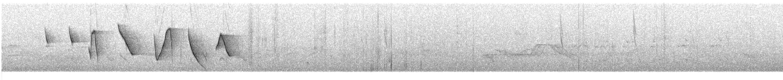 コバシマユシトド（pectoralis） - ML609057539